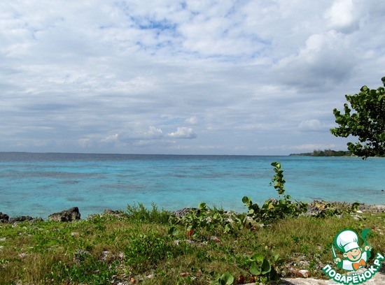 ��������� ����