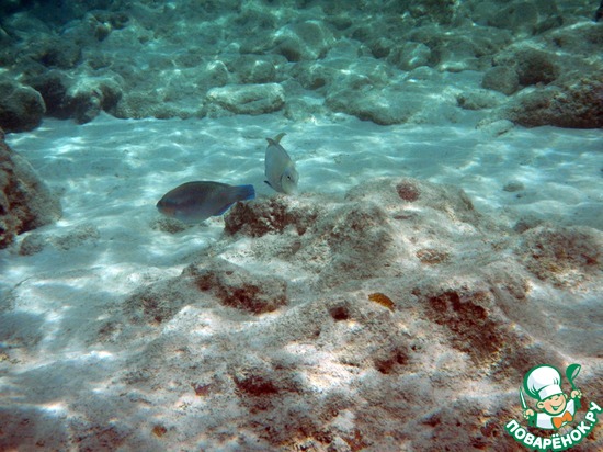 ����������� � ������� (����, ������� 2013)