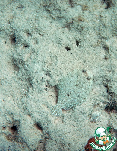 ���������������...