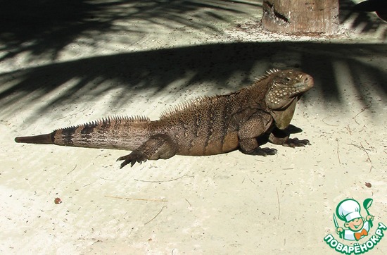 �� ������ ������� ������� �� �����...