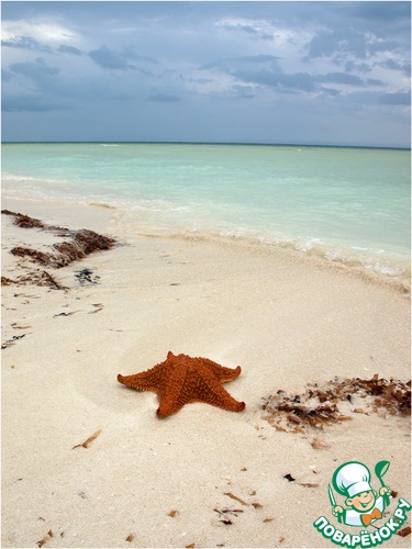 ������� ������ ���� ������ ���������