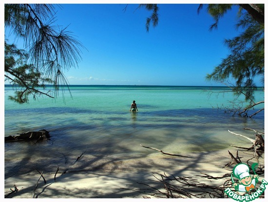 ��������� ����