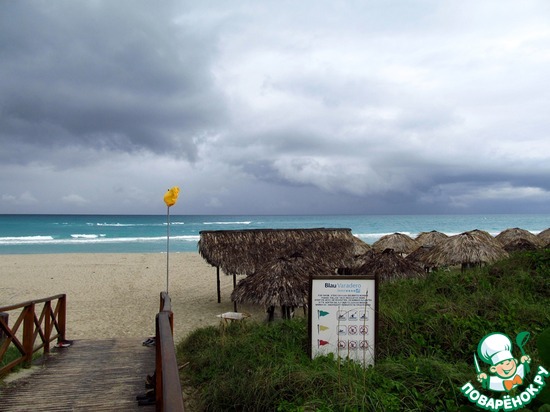 ����������� � ������� (����, ������� 2013)