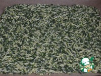 ���������-������ ������� �����������