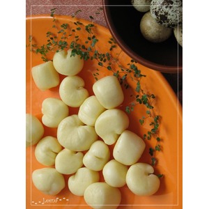 ��� "���������"