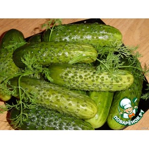 ������ �����������