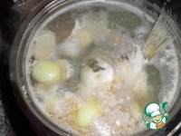 ����-��������� �� ������ �����������