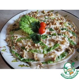 ����� � ������� � �����������