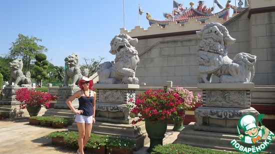 ��� ����������� - ������� � ��������