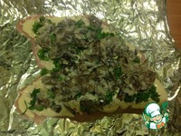 ������� ������ ����� �� ������� "��������" �����������