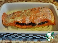 ������ ��� ������������ ��������� �����������