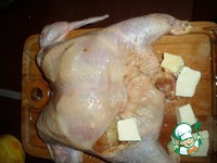 ������, ������������� ��������� � ������� �����������