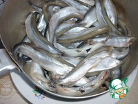 ������ �����������