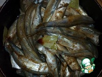 ������ �����������