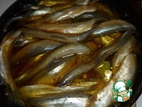 ������ �����������