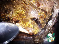 ������� ����, ���������� � ������ �����������