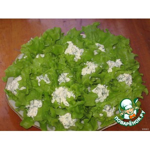 �������� ��������