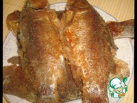 ������ ������� �����������