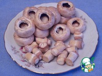 ������� �� ������ "23 �������-������� ���� ���������" �����������