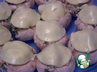 ������� �� ������ "23 �������-������� ���� ���������" �����������