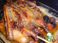 ����� ���� ���������� �����������