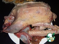 ����� ���� ���������� �����������