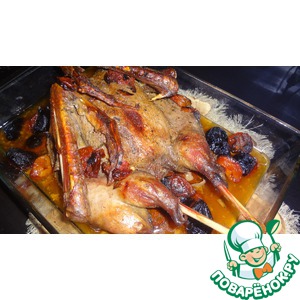 ����� ���� ����������