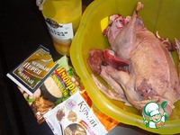 ����� ���� ���������� �����������