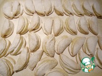 ������ "�������� ��������" �����������