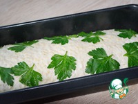 ���� � �������� �����������