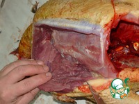 �������� � "���-���" � ������� �����������