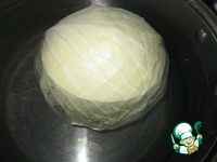 ������� � ������ �����������