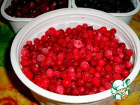 ��������� ����� �� ������ ���� �����������