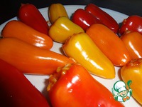 ������������� ���������� ����-����� �����������