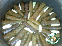 ���� �����������