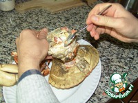 ���� ������������� �����������