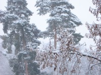 ������� ����� ������ ��������� ����� 2 � ���� "����� ������ ����� �� �����... " �����������