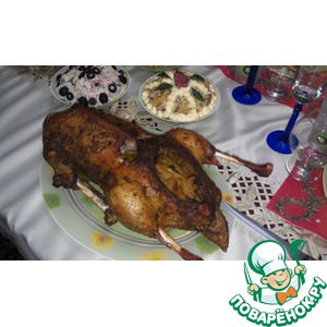 ���� ����������