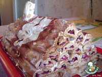 ���� "�������" �����������