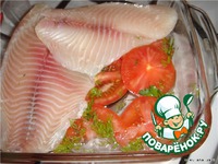 ���� ��� ��������-��������� ������ �����������