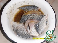 ���� ����� � ������� �����������