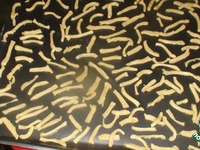 ���������� ������ ��� "�������" �����������