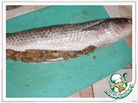 ���� � �������� � ����� � ������� ������ �����������