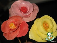 ���� "����������" �����������