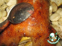 �������� ���� �����������