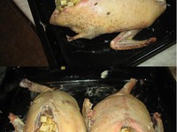 ����� ����, ������������� �������� �����������