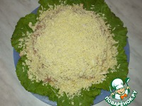 ����� "��������" �����������