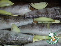 ���� � �������� � ������� �����������