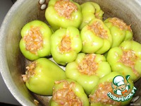 ������������� ����� �����������