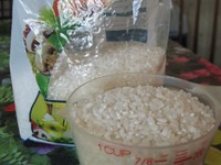 ������ ����� �����������